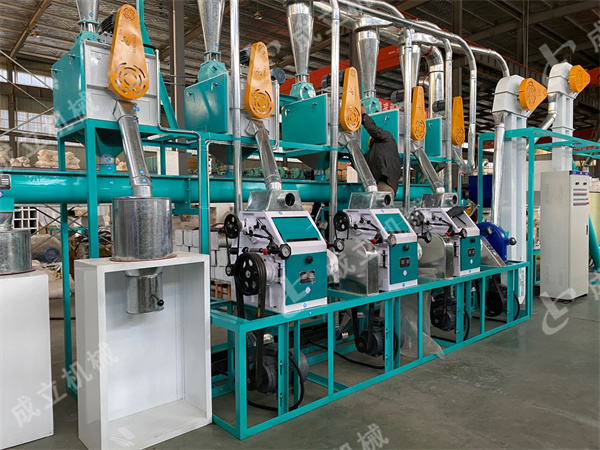 玉米粉加工設(shè)備20噸試機(jī)成功